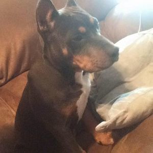 Meet your Posher, Derek